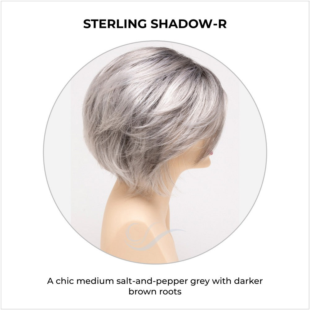 Juliet wig by Envy in Sterling Shadow-R-A chic medium salt-and-pepper grey with darker brown roots