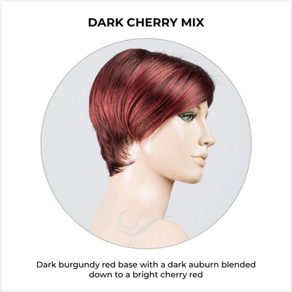 Jump wig by Ellen Wille in Dark Cherry Mix-Dark burgundy red base with a dark auburn blended down to a bright cherry red