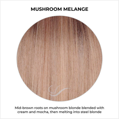 Mushroom Melange-Mid-brown roots on mushroom blonde blended with cream and mocha, then melting into steel blonde