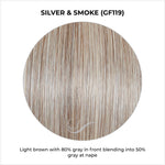 Load image into Gallery viewer, Silver &amp; Smoke (GF119)-Light brown with 80% gray in front blending into 50% gray at nape
