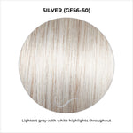 Load image into Gallery viewer, Silver (GF56-60)-Lightest gray with white highlights throughout
