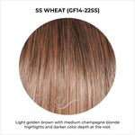 Load image into Gallery viewer, SS Wheat (GF14-22SS)-Light golden brown with medium champagne blonde highlights and darker color depth at the root
