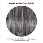 Load image into Gallery viewer, Sugar &amp; Charcoal (GF511)-Salt &amp; pepper blend with brown and silvery gray, gradually lighter in front

