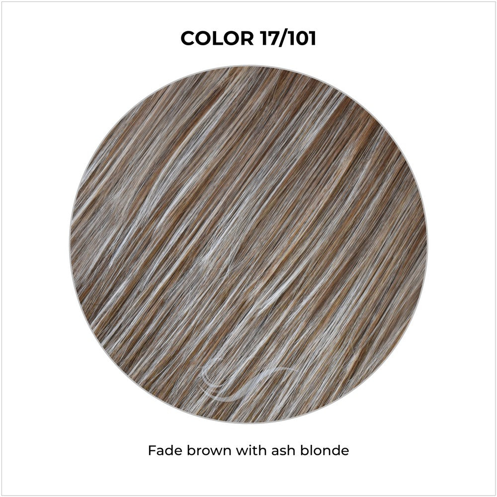 COLOR 17/101-Fade brown with ash blonde