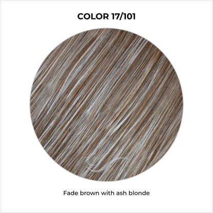 COLOR 17/101-Fade brown with ash blonde