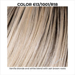 Load image into Gallery viewer, 613/1001/R18-Vanilla blonde and white blend with ash brown roots
