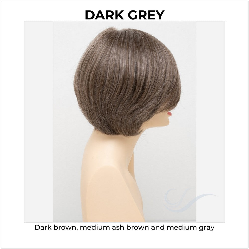 Abbey By Envy in Dark Grey-Dark brown, medium ash brown and medium gray