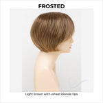 Load image into Gallery viewer, Abbey By Envy in Frosted-Light brown with wheat blonde tips
