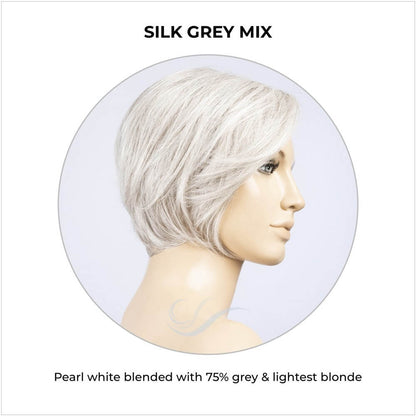 Aletta by Ellen Wille in Silk Grey Mix-Pearl white blended with 75% grey & lightest blonde