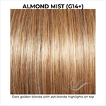 Load image into Gallery viewer, Almond Mist (G14+)-Dark golden blonde with ash blonde highlights on top
