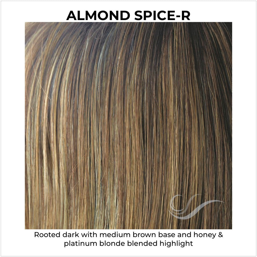 Almond Spice-R-Rooted dark with medium brown base and honey & platinum blonde blended highlight