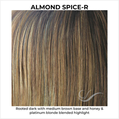 Almond Spice-R-Rooted dark with medium brown base and honey & platinum blonde blended highlight