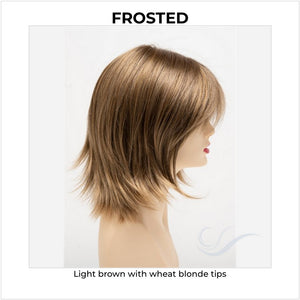 Amber by Envy in Frosted-Light brown with wheat blonde tips