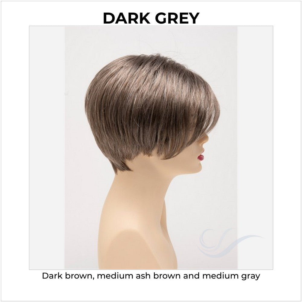Amy by Envy in Dark Grey-Dark brown, medium ash brown and medium gray