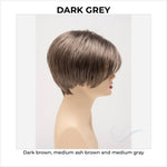 Load image into Gallery viewer, Amy by Envy in Dark Grey-Dark brown, medium ash brown and medium gray
