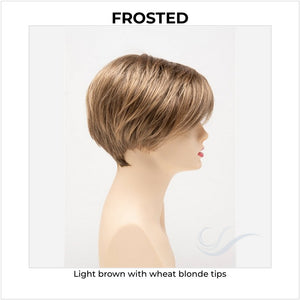 Amy by Envy in Frosted-Light brown with wheat blonde tips