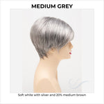 Load image into Gallery viewer, Amy by Envy in Medium Grey-Soft white with silver and 20% medium brown
