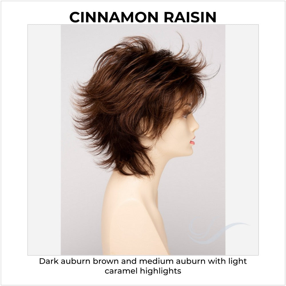 Aria By Envy in Cinnamon Raisin-Dark auburn brown and medium auburn with light caramel highlights