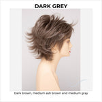 Load image into Gallery viewer, Aria By Envy in Dark Grey-Dark brown, medium ash brown and medium gray
