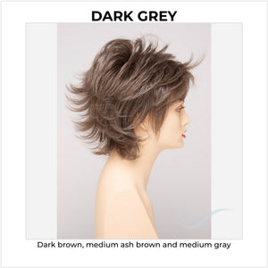 Aria By Envy in Dark Grey-Dark brown, medium ash brown and medium gray