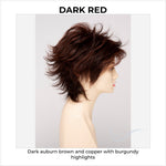 Load image into Gallery viewer, Aria By Envy in Dark Red-Dark auburn brown and copper with burgundy highlights
