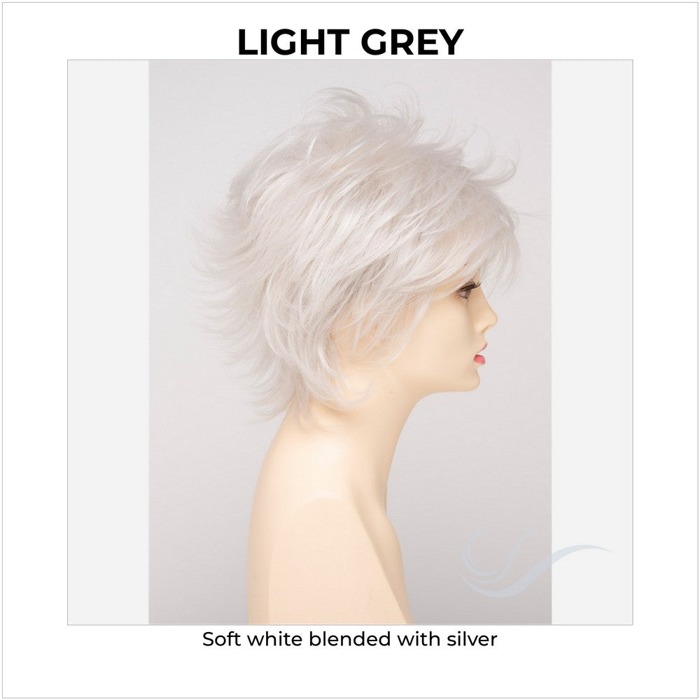 Aria By Envy in Light Grey-Soft white blended with silver