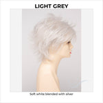 Load image into Gallery viewer, Aria By Envy in Light Grey-Soft white blended with silver
