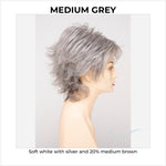 Load image into Gallery viewer, Aria By Envy in Medium Grey-Soft white with silver and 20% medium brown

