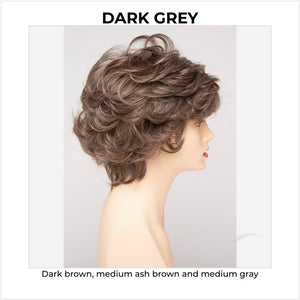 Aubrey By Envy in Dark Grey-Dark brown, medium ash brown and medium gray