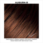 Load image into Gallery viewer, Auburn-R-Dark auburn, medium auburn, and warm medium brown blend with dark brown roots
