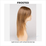 Load image into Gallery viewer, Ava By Envy in Frosted-Light brown with wheat blonde tips
