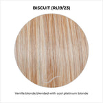 Load image into Gallery viewer, Biscuit (RL19/23)-Vanilla blonde blended with cool platinum blonde
