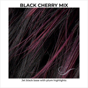 Black Cherry Mix-Jet black base with plum highlights