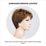 Load image into Gallery viewer, Bliss by Ellen Wille in Cinnamon Brown Lighted-Dark brown and dark &amp; light auburn blend with shaded roots
