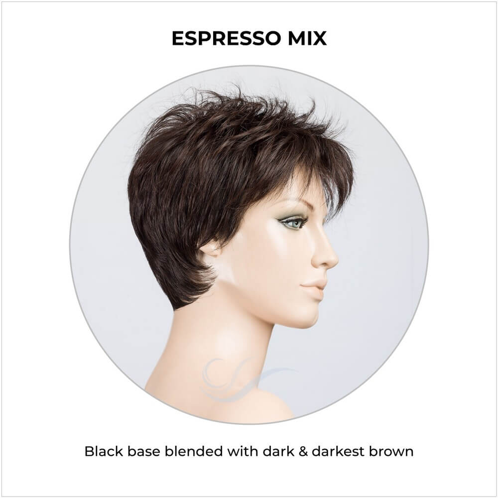 Bliss by Ellen Wille in Espresso Mix-Black base blended with dark & darkest brown