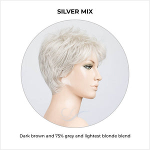 Bliss by Ellen Wille in Silver Mix-Dark brown and 75% grey and lightest blonde blend