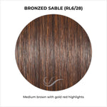 Load image into Gallery viewer, Bronzed Sable (RL6/28)-Medium brown with gold red highlights
