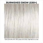 Load image into Gallery viewer, Burnished Snow (G60+)-Dark blonde with 90% gray and silver highlights on top
