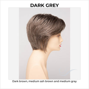 Chantel by Envy in Dark Grey-Dark brown, medium ash brown and medium gray