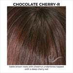 Load image into Gallery viewer, Chocolate Cherry-Sable brown roots with chestnut undertones topped with a deep cherry red
