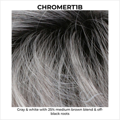 CHROMERT1B-Gray & white with 25% medium brown blend & off-black roots