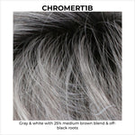 Load image into Gallery viewer, CHROMERT1B-Gray &amp; white with 25% medium brown blend &amp; off-black roots
