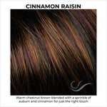 Load image into Gallery viewer, Cinnamon Raisin-Dark brown and medium auburn with light caramel highlights

