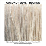 Load image into Gallery viewer, Coconut Silver Blonde-A blend of silver, cool ash, and coconut blondes with platinum blonde highlights
