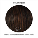 Load image into Gallery viewer, COLOR 01B/30-Off black with off black blended with medium auburn
