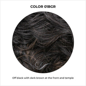 COLOR 01BGR-Off black with dark brown at the front and temple