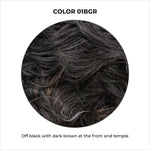 Load image into Gallery viewer, COLOR 01BGR-Off black with dark brown at the front and temple
