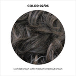 Load image into Gallery viewer, COLOR 02/06-Darkest brown with medium chestnut brown
