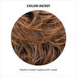Load image into Gallery viewer, COLOR 06/30T-Medium brown tipped with russet
