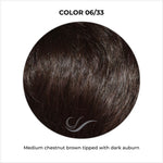 Load image into Gallery viewer, COLOR 06/33-Medium chestnut brown tipped with dark auburn
